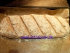 Schnelles Walnuss-Brot