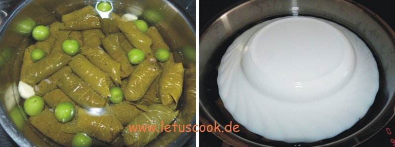 Tolma –Weinblattrouladen kochen